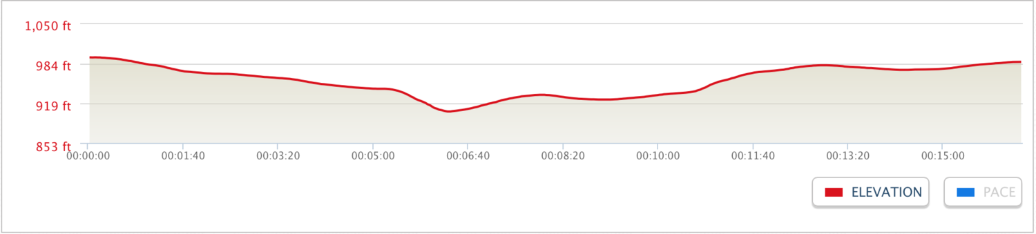 Walk 1 Elevation Profile