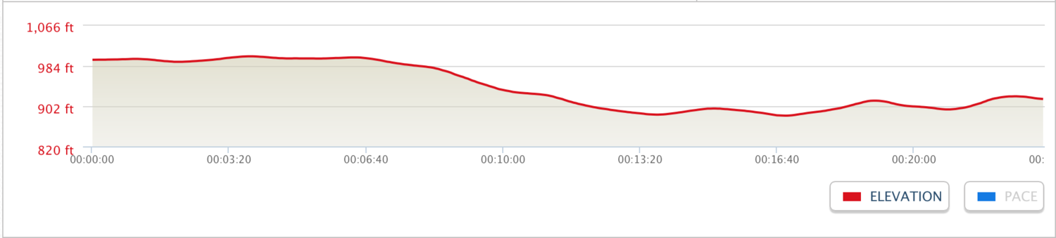 Walk 2 Elevation Profile